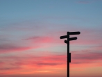 What can the past teach us about the present?